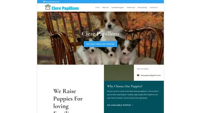 Screenshot of