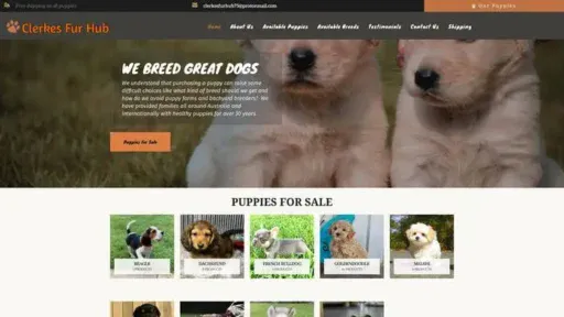 Screenshot of