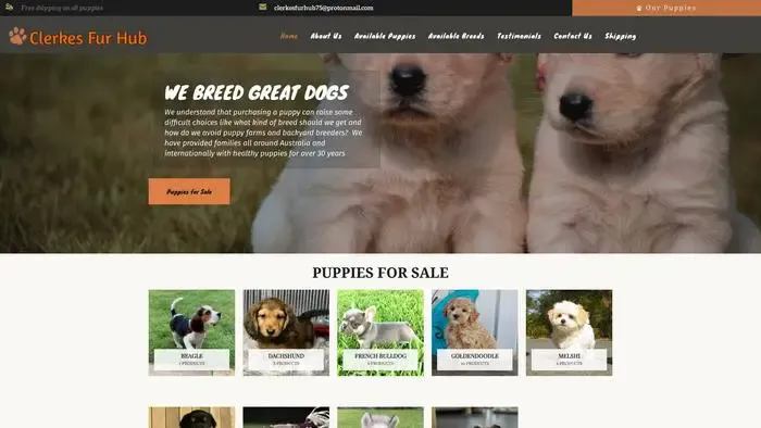 Screenshot of