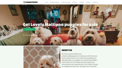 Screenshot of|