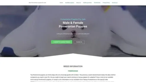 Screenshot of