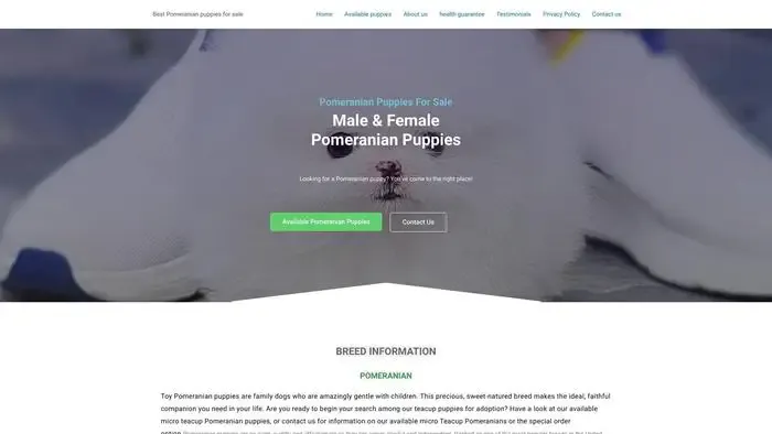 Screenshot of