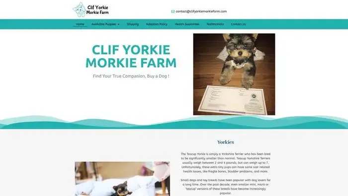 Screenshot of