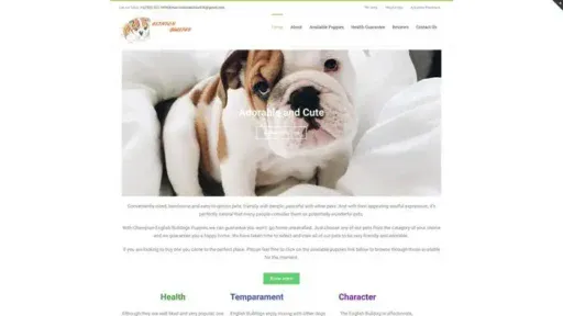 Screenshot of