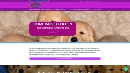 Screenshot of|