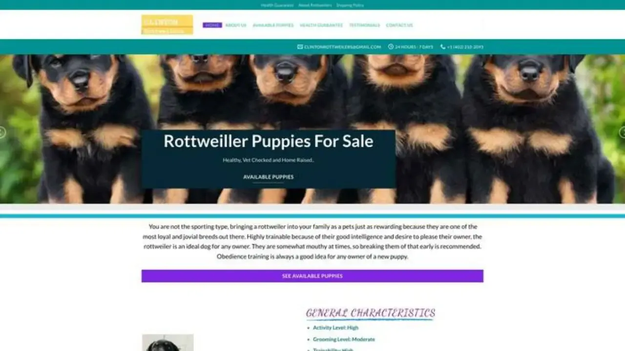 Clintonrottweilers