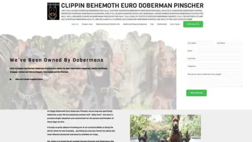 Screenshot of