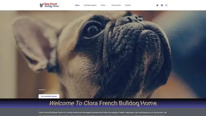 Screenshot of