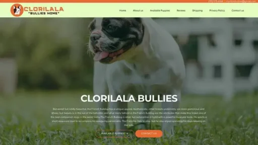 Screenshot of