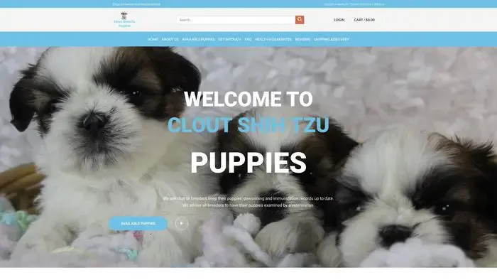 Screenshot of