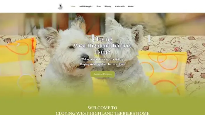 Screenshot of
