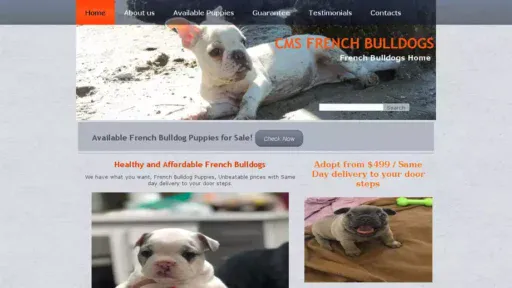 Screenshot of|