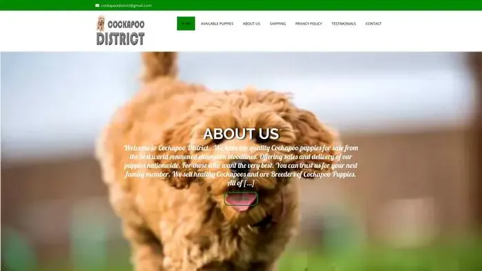 Screenshot of