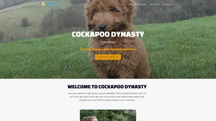 Screenshot of