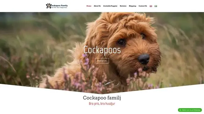 Screenshot of