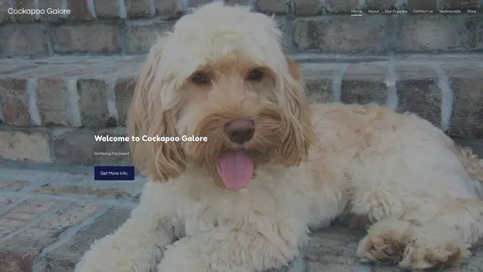 Screenshot of