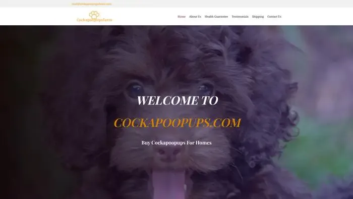 Screenshot of