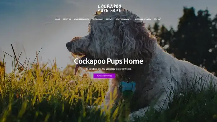 Screenshot of