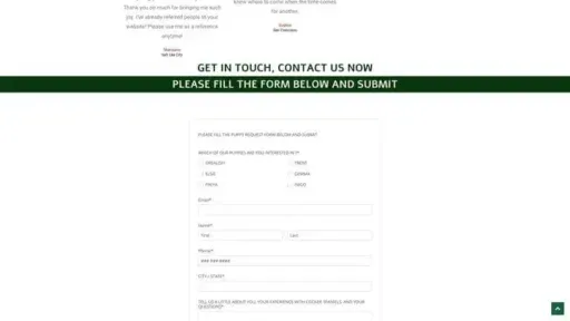 Screenshot of