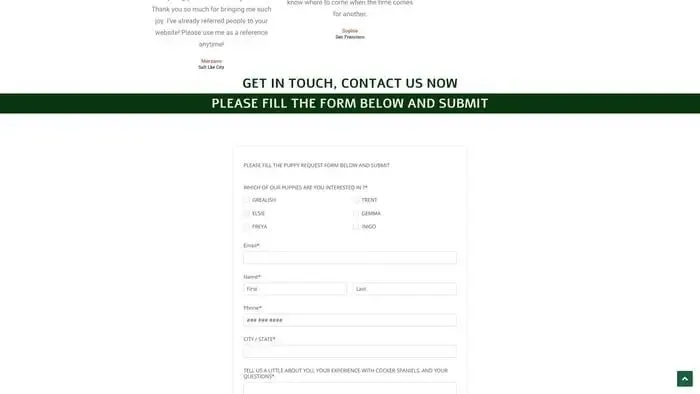Screenshot of