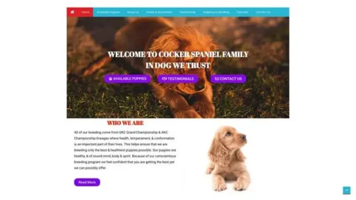 Screenshot of