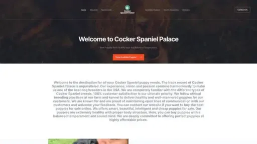 Screenshot of