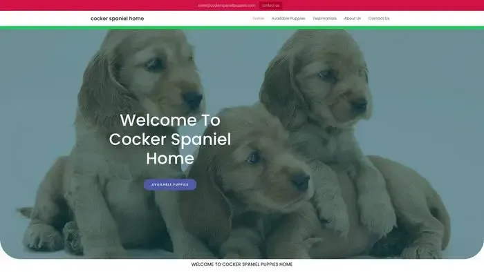 Screenshot of