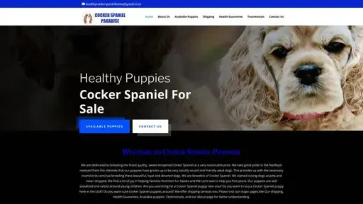 Screenshot of