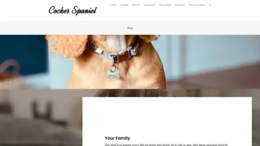 Screenshot of