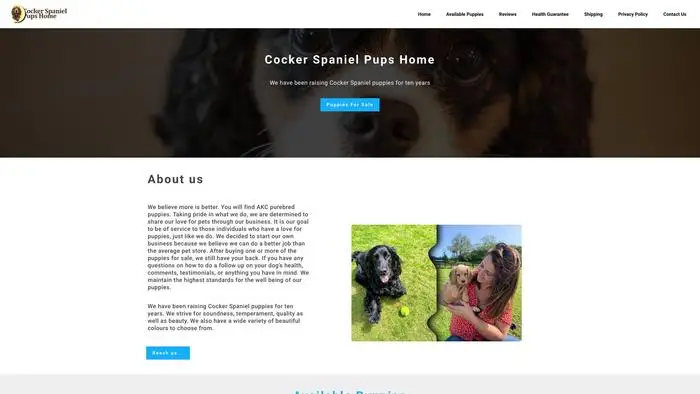 Screenshot of