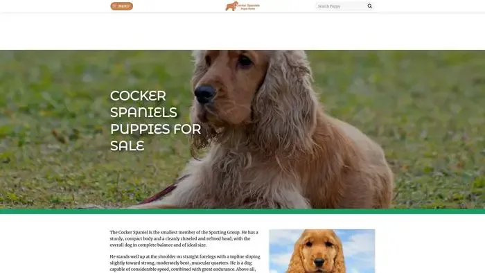 Screenshot of