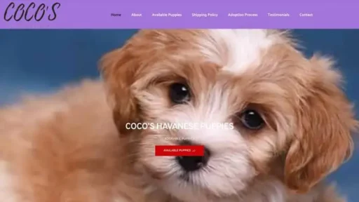 Screenshot of
