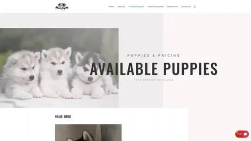 Screenshot of