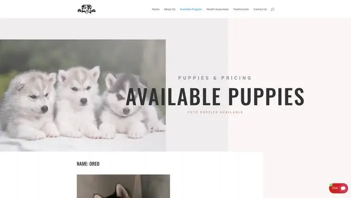 Screenshot of