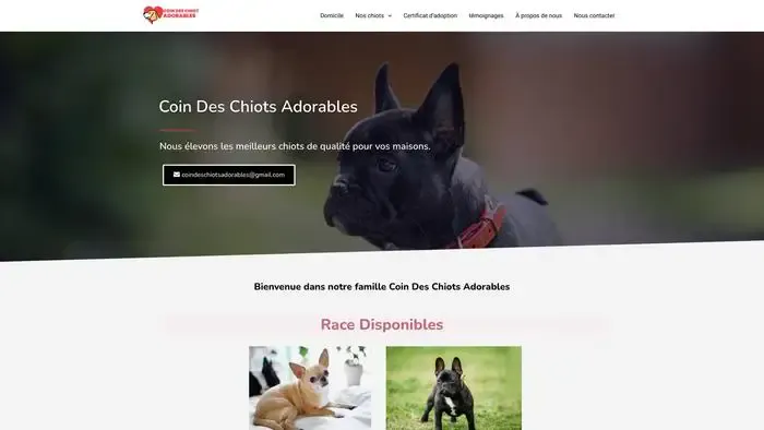 Screenshot of