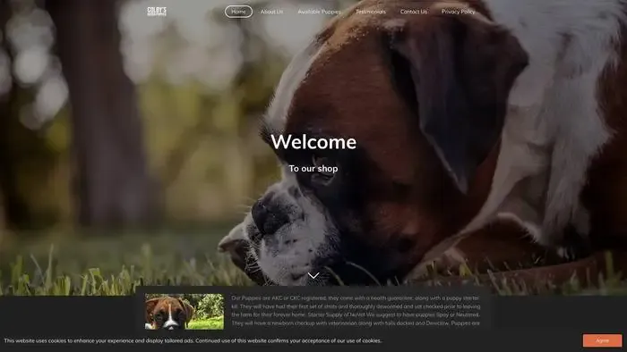 Screenshot of