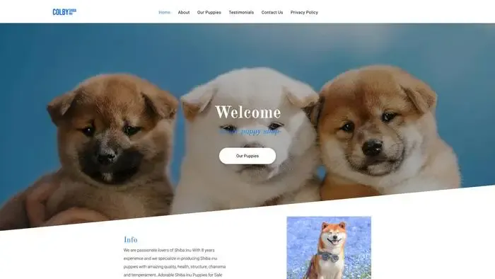 Screenshot of