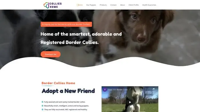 Screenshot of