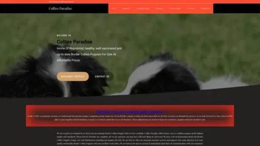 Screenshot of