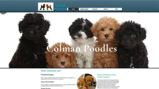 Screenshot of