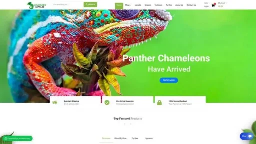 Screenshot of