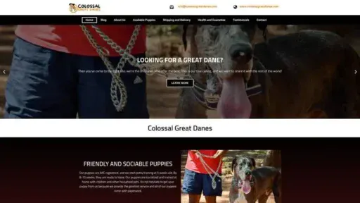 Screenshot of