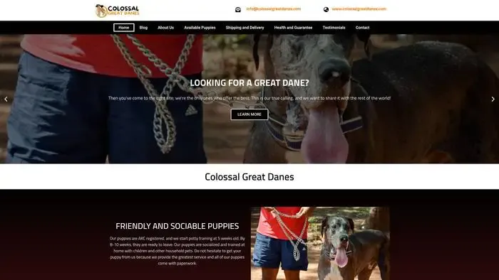 Screenshot of