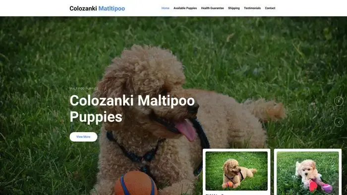 Screenshot of