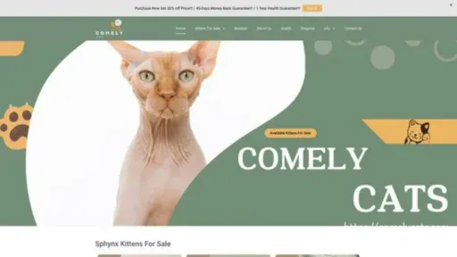 Screenshot of||