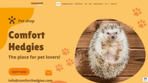 Screenshot of||