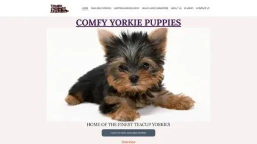 Screenshot of