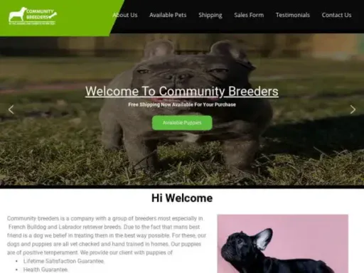 Screenshot of