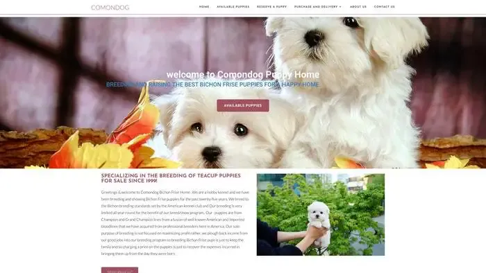 Screenshot of