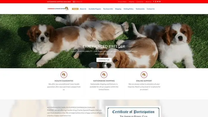 Screenshot of